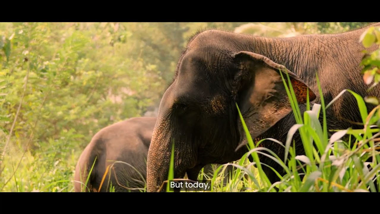 Sri Lanka’s Climate-Nature Nexus