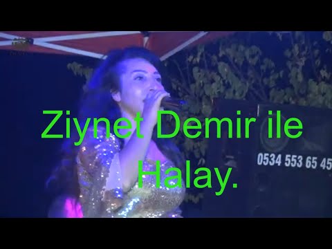 Ziynet Demir ile halay.