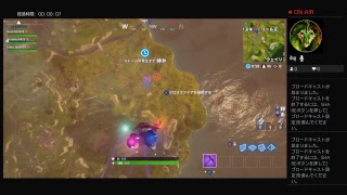 北と南が団結してフォートナイト