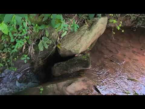 ## oportunidade única municipio de conceição de Ipanema Minas gerais whatsapp 33998246134...