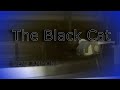 The Black CAT  | GENE AMMONS
