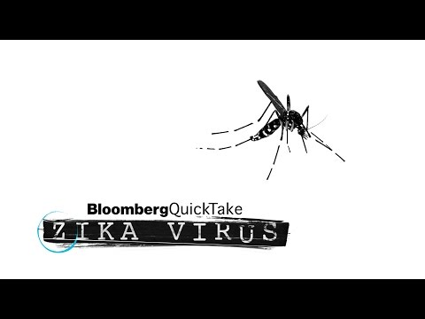 Here's How Zika Virus Spreads