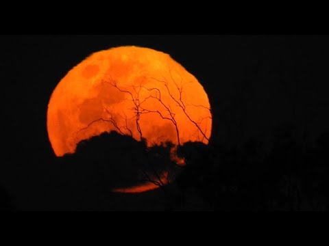 Full Moon, Brisbane Australia - 17 July 2019