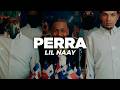 LIL NAAY - PERRA (Letra)