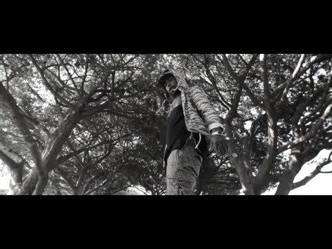 Freddrick Caine - PSDO