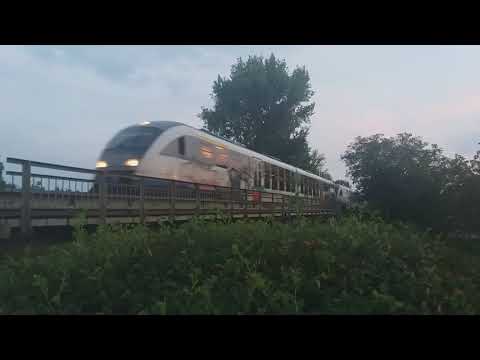 [IR 1743] Timisoara Nord - Baia Mare