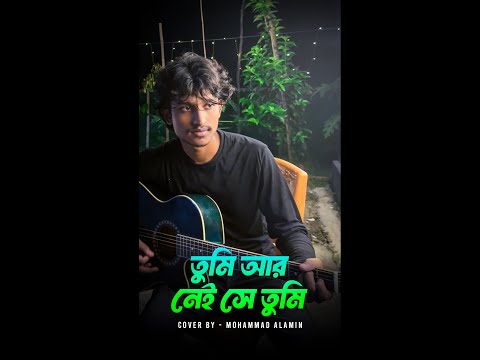 তুমি আর নেই সে তুমি Full Song Solo Cover | Sachin Dev Burman | Mohammad Alamin | @vaber-tori