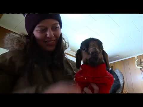 Sparta family receives extra special delivery during arctic blast