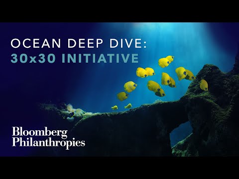 Protecting 30% of the Land and Sea by 2030