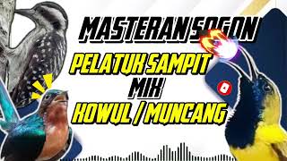 Download lagu BARU‼️ MASTERAN SOGON MATERI PELATUK SAMPIT MIX KOWUL / MUNCANG #sogon #sotong #sogokontong mp3 Download lagu BARU‼️ MASTERAN SOGON MATERI PELATUK SAMPIT MIX KOWUL / MUNCANG #sogon #sotong #sogokontong mp3