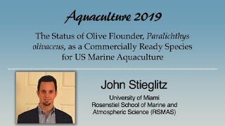 Download Lagu John Stieglitz: Olive Flounder, Paralichthys olivaceus, Aquaculture Thumbnail
