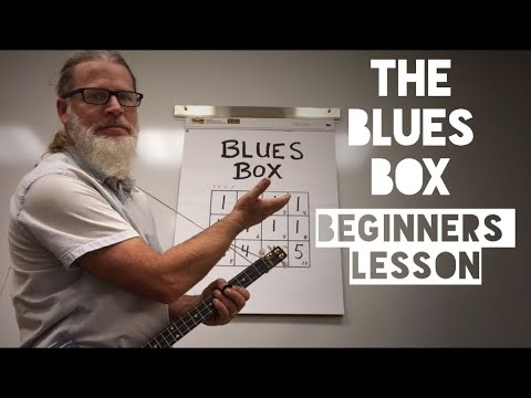 Blues Box - Beginners 12 Bar Blues Lesson