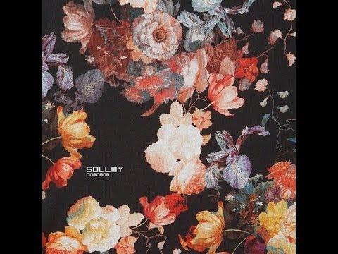 Sollmy - Granular