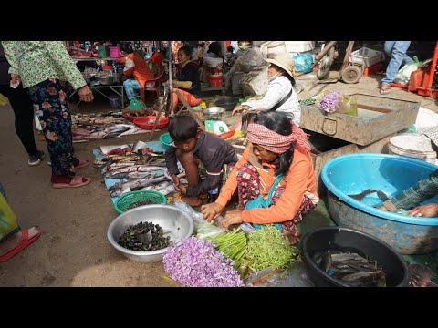 Morning Food Market Scene @Countryside - Amazing Morning Daily Life Style at Phsa Oudung