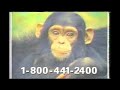 National Geographic Really Wild Animals Swinging Safari VHS Commercial 1995