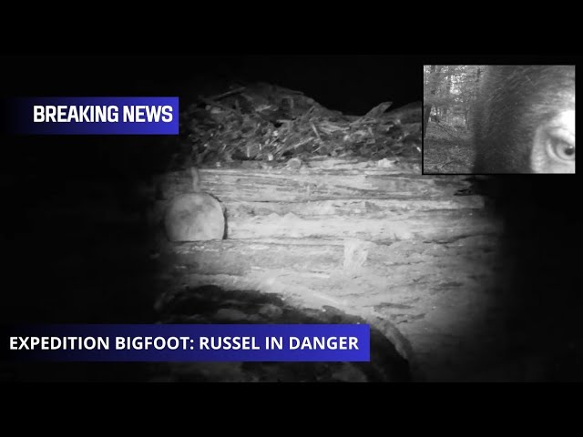 Thumbnail Download SD Thumbnail (640x480)