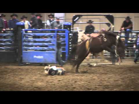 Clay Elliot vs. Jim Lowry's Chestnut Delight. Ponoka Rodeo Masters Futurity '12