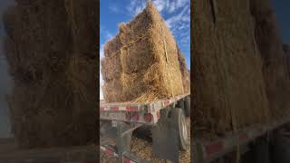 Flatbed load securement - straw hay bales
