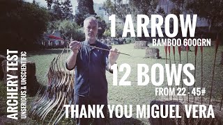 Archery Test: 1 Arrow shot with 12 Bows