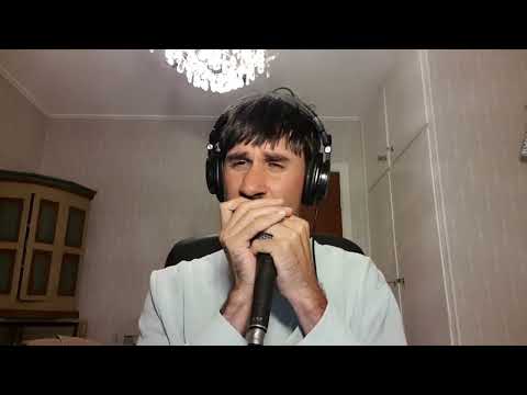 Harmonica lesson: Improvisation exercise on minor blues - use a rhythmic approach