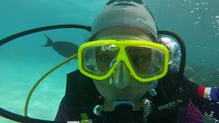 preview picture of video 'Scuba diving with Ruvana'