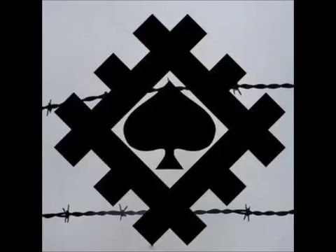 Гио пика - птицы