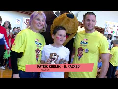 Lino višebojac Gvozd