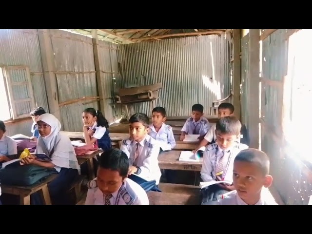 Hamida School: Planting Seeds for Brighter Futures