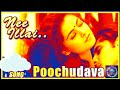 Kadhal Kadhal Song Poochudava Movie Appas Simran