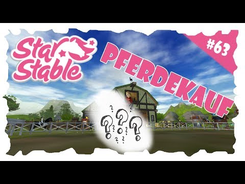 SSO/Pferdekauf/#63
