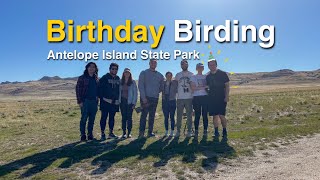 Birthday Birding Bash at Antelope Island State Park