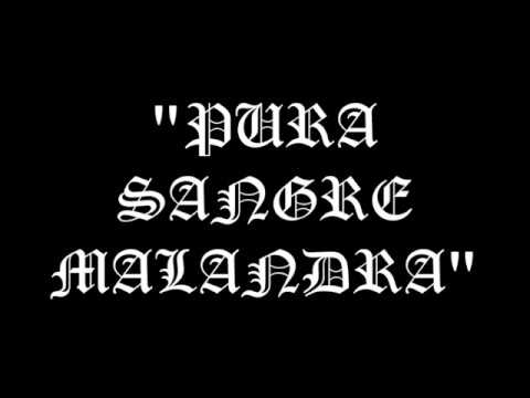 SANGRE MALANDRA | CARTEL DE SANTA FT MR. POMEL / LETRA