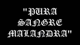 SANGRE MALANDRA | CARTEL DE SANTA FT MR. POMEL / LETRA