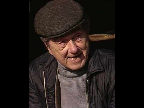 Metsolat - Osmo ja moottorisaha