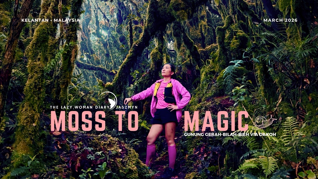 Gunung Gerah Bilah Bieh via Dakoh - Kelantan 🇲🇾 Moss to Magic 🌿  Fire Snail | Pitcher Plants