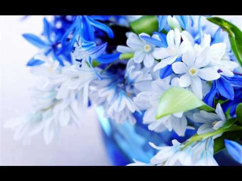 Prietenie Dan Lucian Corb muzică instrumentală