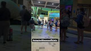 #cruiseship #cruise #cruiselife #cruising #cruising #cruiser #vacation #travelblog #travelvlog #fyp