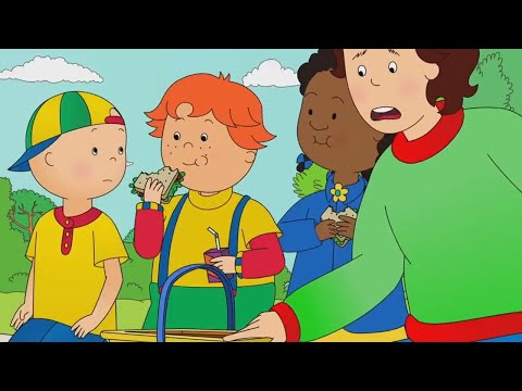 Kajtuś ma piknik z przyjaciółmi | Kajtuś po Polsku [Caillou] - WildBrain