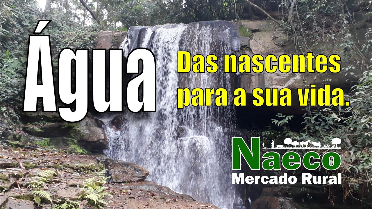 A importância das nascentes.