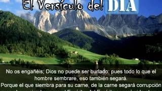 Miniatura del video: El versiculo del dia .com - Galatas 6 v7-8