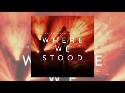 THE PINEAPPLE THIEF   Where we stood concert