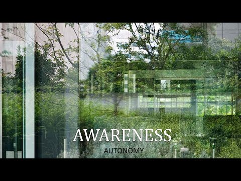 Fashion Diary Collection