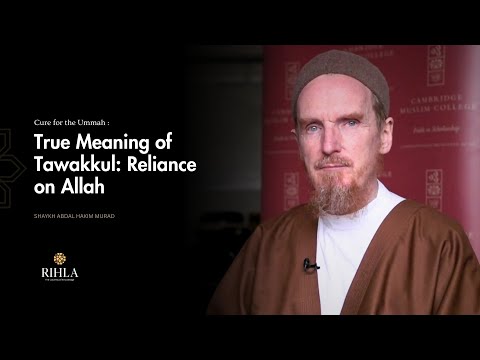 Power of Surrender and Reliance on Allah - Shaykh Abdal Hakim Murad