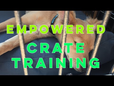 Have You Fallen for this Crate Training Myth? | Grisha Stewart