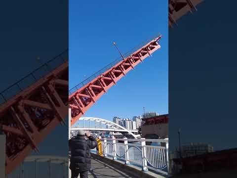 [Coréia] Evento basculante da Ponte Yeongdo em Busan Nampo-dong - a única ponte basculante da Coréia, Ponte Yeongdo, vídeo de escalada da Ponte Yeongdo / Ponto turístico Mercado Internacional de Nampo-dong Mercado Bupyeong