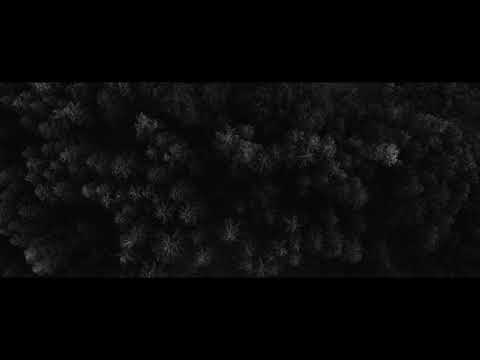 Roger Rekless - Planspiel (Official Video)