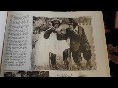 Debroy Somers   Nobody's using it now   Columbia DC 20