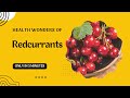 Health Benefits Of Redcurrant