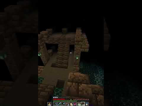 Lokolow - HOW TO AVOID THE WARDEN IN MINECRAFT MULTIPLAYER :)