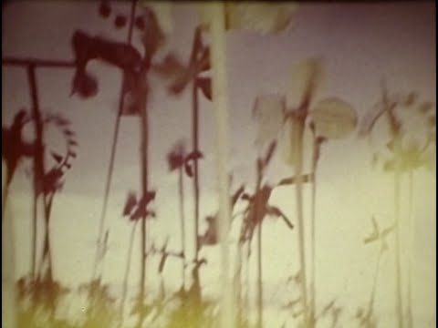 R.E.M.: Left of Reckoning (1984)